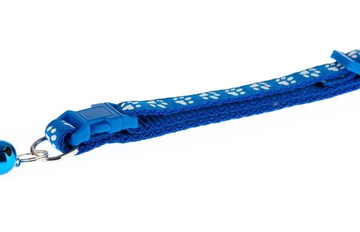 Jaką długość smyczy spacerowej wybrać dla psa? Poradnik dla właścicieli