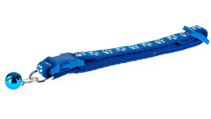 Jaką długość smyczy spacerowej wybrać dla psa? Poradnik dla właścicieli