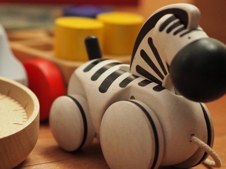 Niezniszczalne zabawki dla psa – piłki, dyski i gryzaki